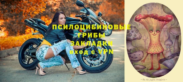 тгк Арсеньев