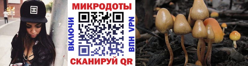 где купить наркотик  Магас  hydra ССЫЛКА  Галлюциногенные грибы GOLDEN TEACHER 